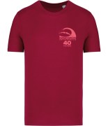 NS300 HIB FRONT website